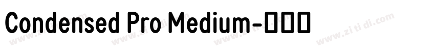 Condensed Pro Medium字体转换